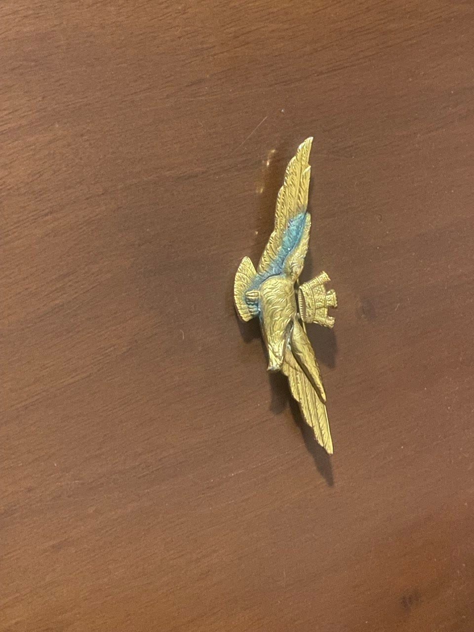 L'aquila di pilota d'aeroplano conservata in famiglia